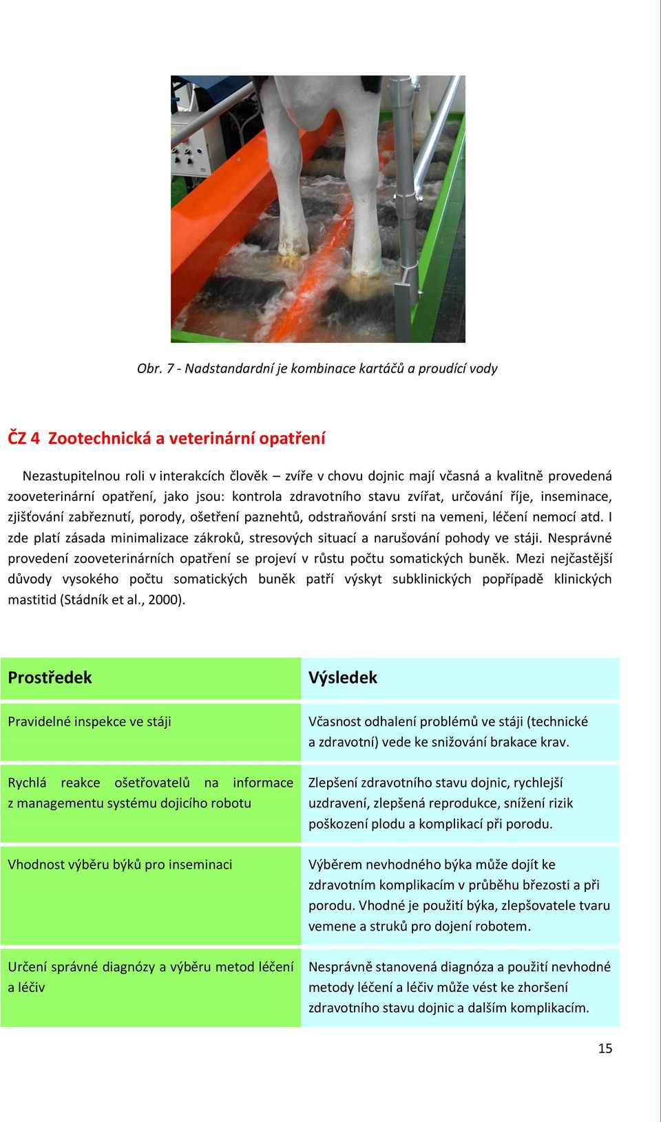 I zde platí zásada minimalizace zákroků, stresových situací a narušování pohody ve stáji. Nesprávné provedení zooveterinárních opatření se projeví v růstu počtu somatických buněk.