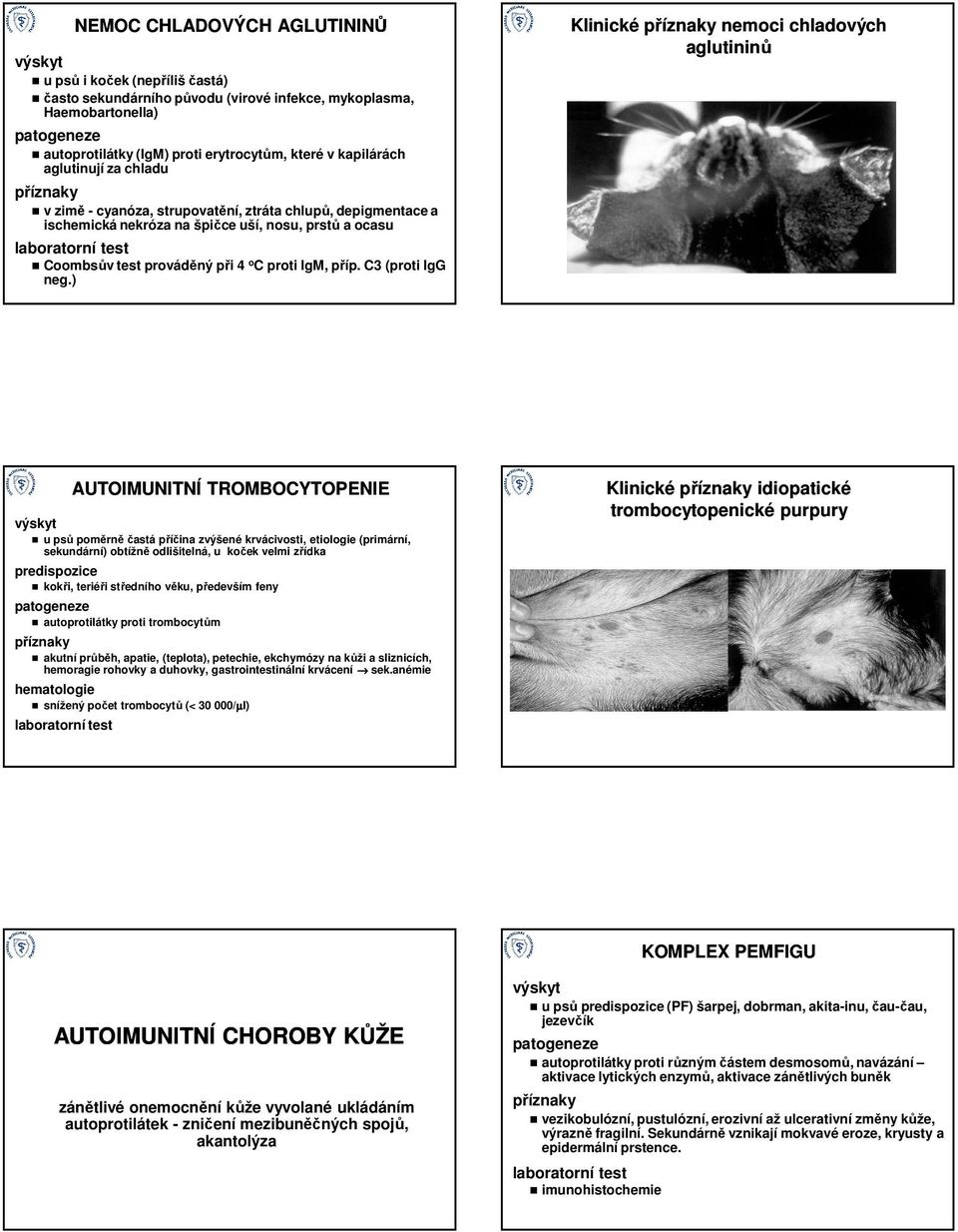 C3 (proti IgG neg.