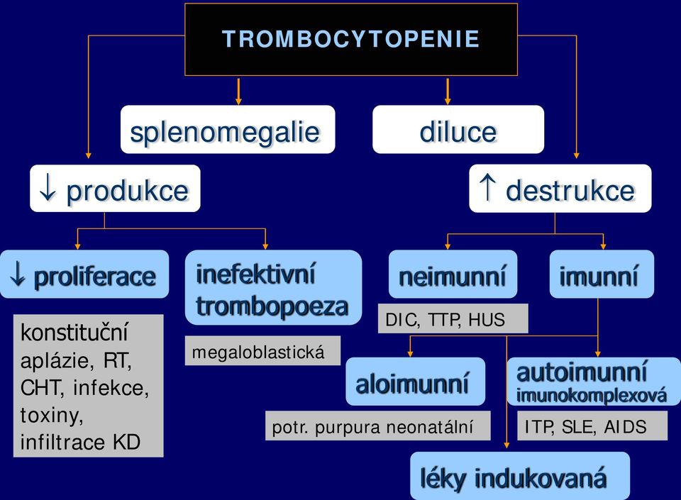 trombopoeza megaloblastická neimunní DIC, TTP, HUS aloimunní potr.