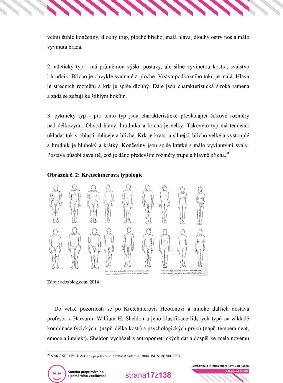 pyknický typ - pro tento typ jsou charakteristické převládající šířkové rozměry nad délkovými. Obvod hlavy, hrudníku a břicha je velký.