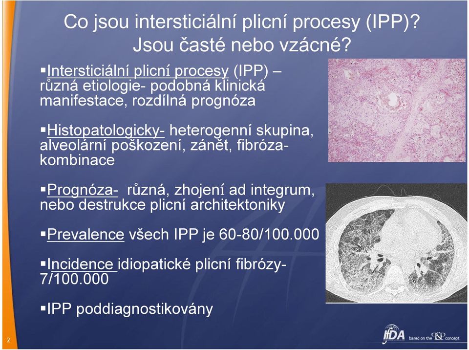 Histopatologicky- heterogenní skupina, alveolární poškození, zánět, fibrózakombinace Prognóza- různá, zhojení