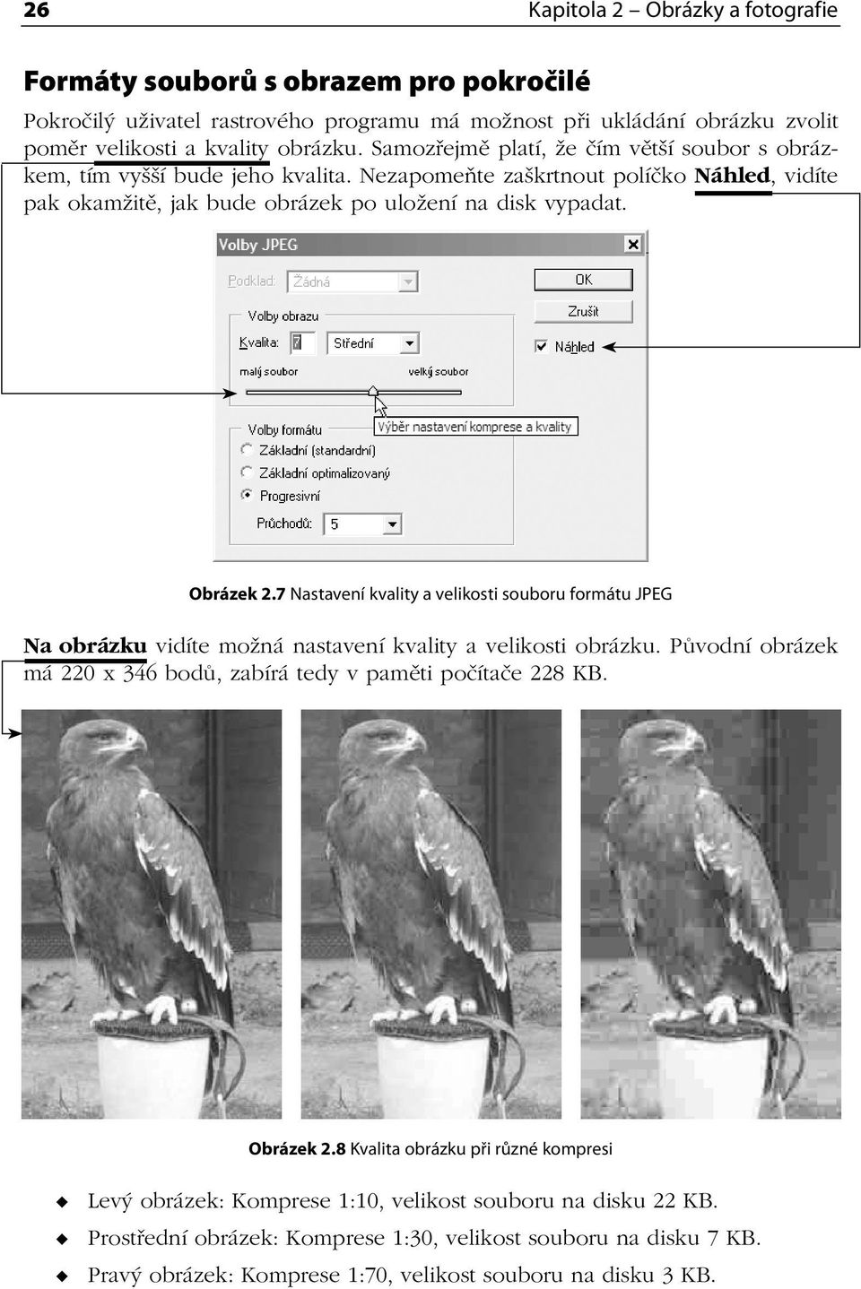 7 Nastavení kvality a velikosti souboru formátu JPEG Na obrázku vidíte možná nastavení kvality a velikosti obrázku. Původní obrázek má 220 x 346 bodů, zabírá tedy v paměti počítače 228 KB. Obrázek 2.