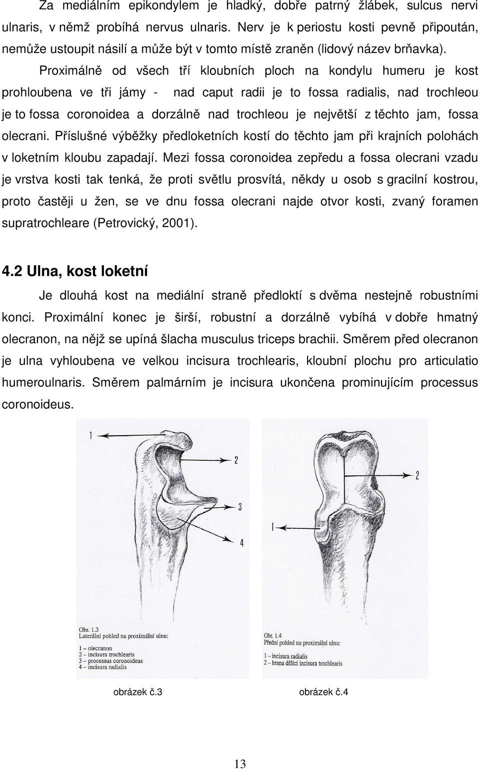 Proximálně od všech tří kloubních ploch na kondylu humeru je kost prohloubena ve tři jámy - nad caput radii je to fossa radialis, nad trochleou je to fossa coronoidea a dorzálně nad trochleou je