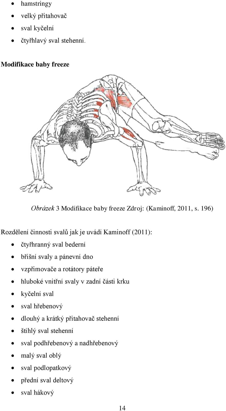 196) Rozdělení činnosti svalů jak je uvádí Kaminoff (2011): čtyřhranný sval bederní břišní svaly a pánevní dno vzpřimovače a