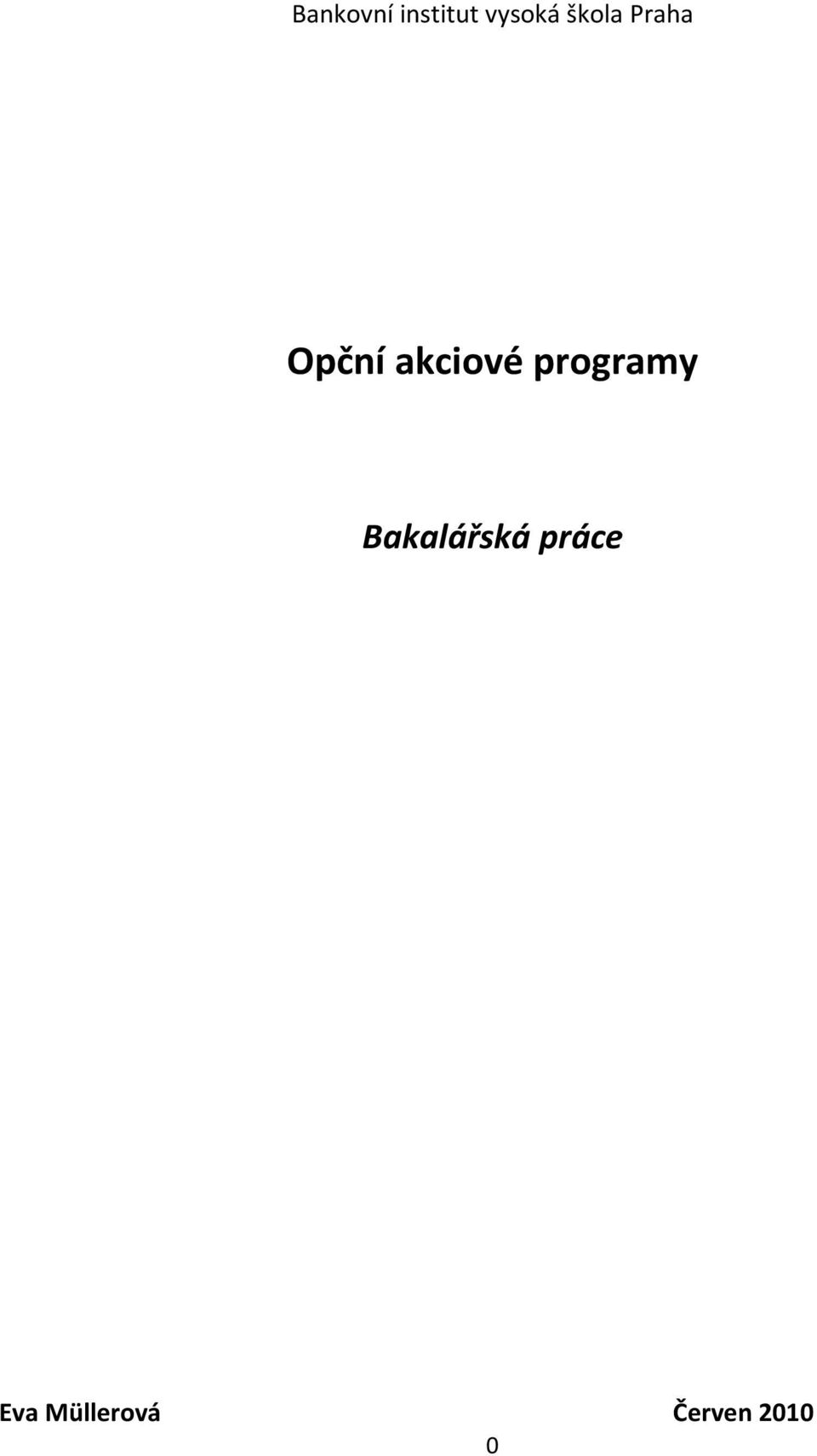 programy Bakalářská práce