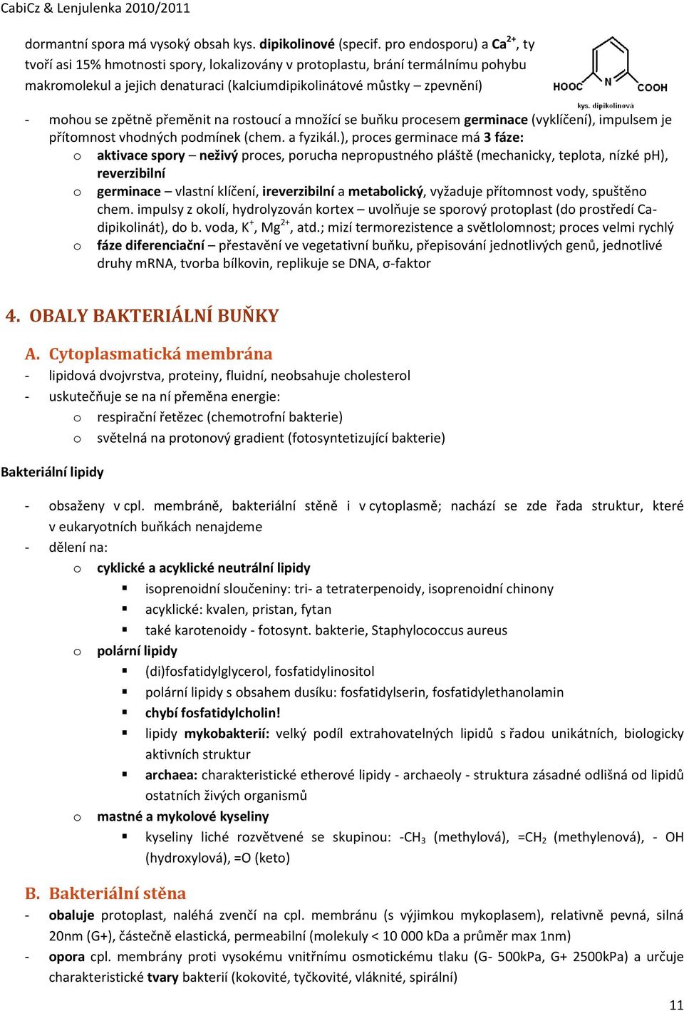 rstucí a mnžící se buňku prcesem germinace (vyklíčení), impulsem je přítmnst vhdných pdmínek (chem. a fyzikál.