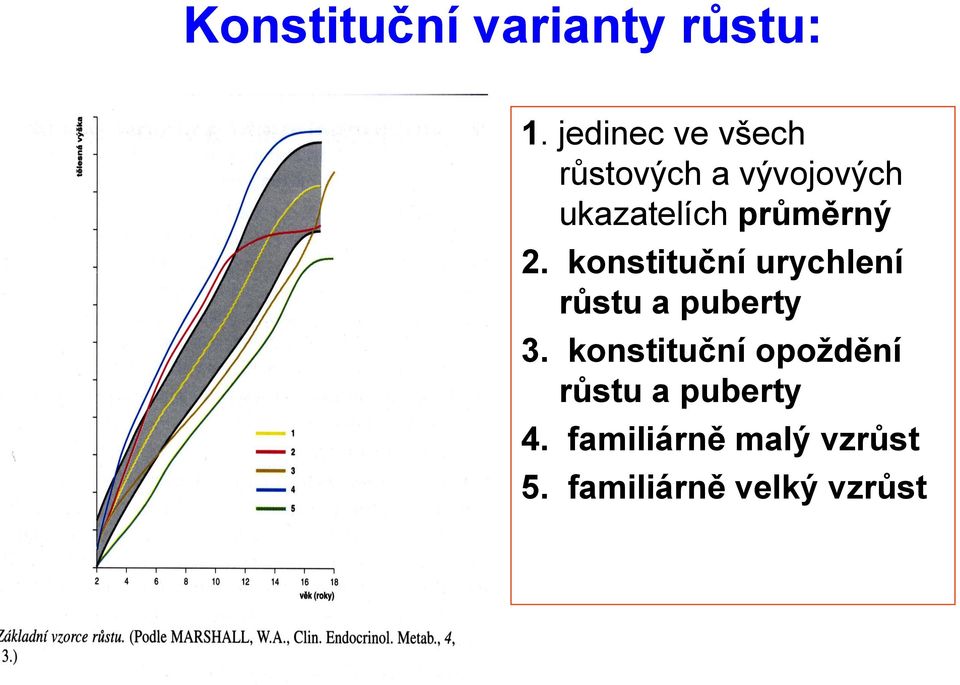 průměrný 2. konstituční urychlení růstu a puberty 3.