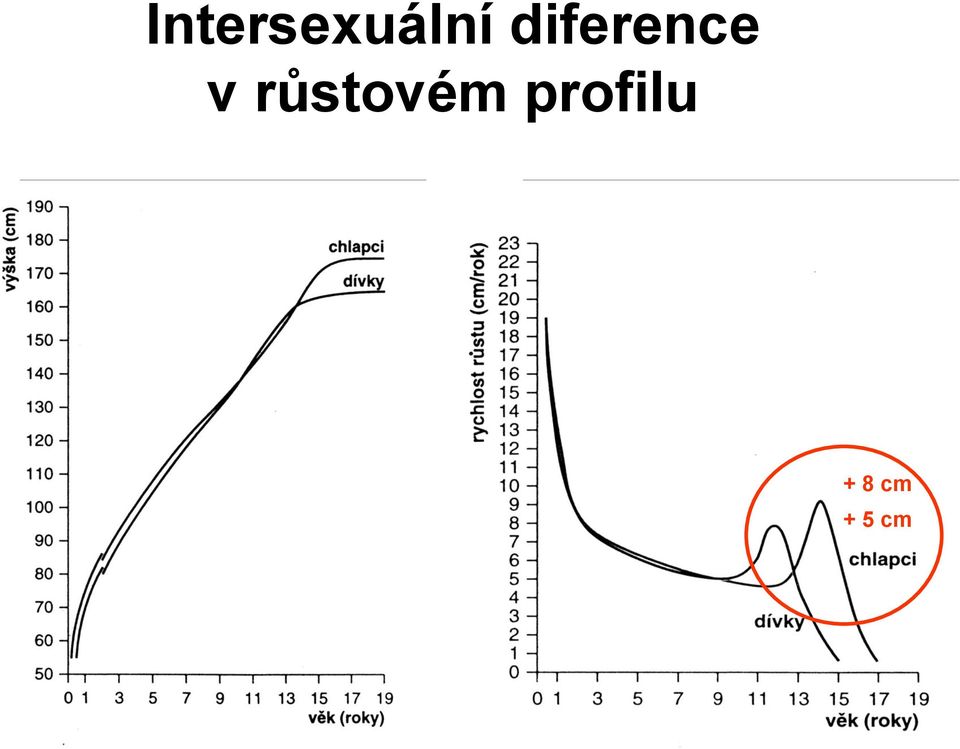 růstovém