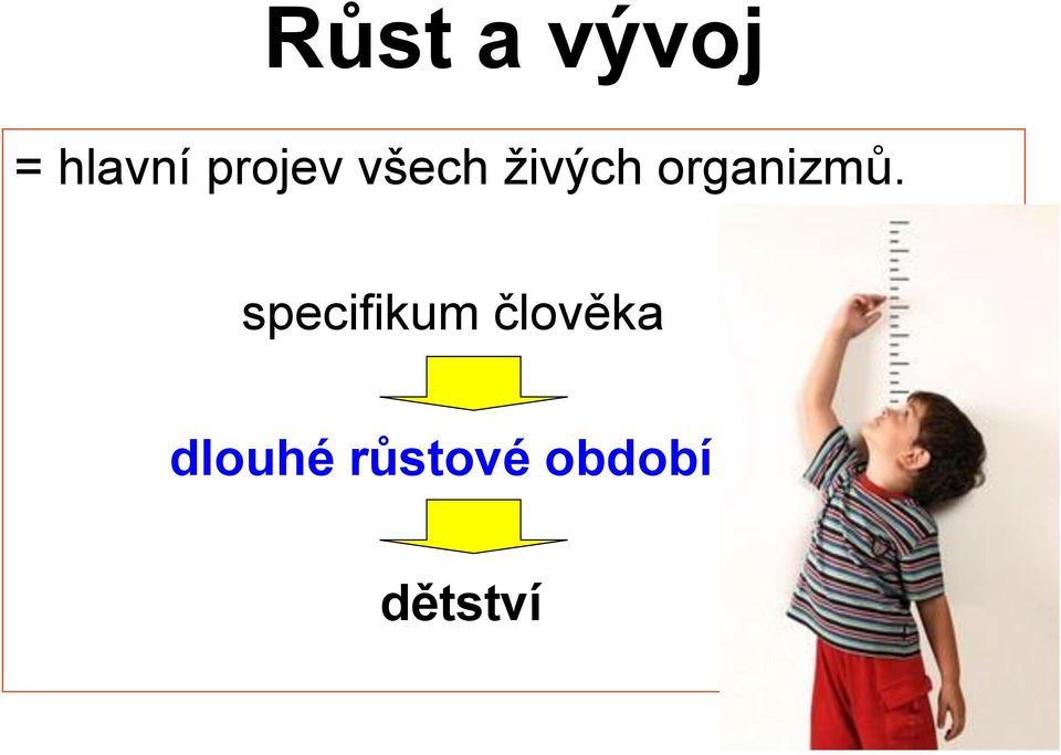 organizmů.