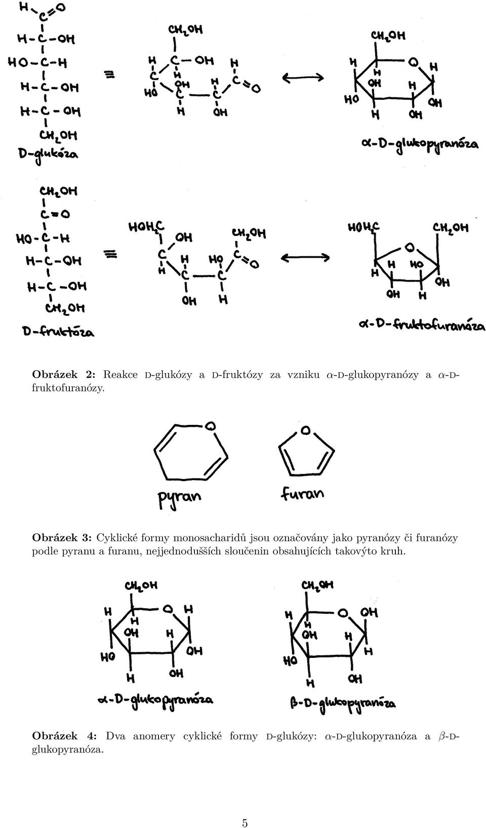 Obrázek 3: Cyklické formy monosacharidů jsou označovány jako pyranózy či furanózy