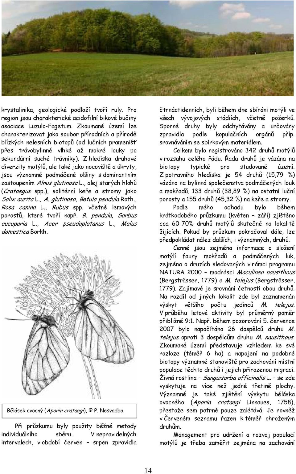 Z hlediska druhové diverzity motýlů, ale také jako nocoviště a úkryty, jsou významné podmáčené olšiny s dominantním zastoupením Alnus glutinosa L., alej starých hlohů (Crataegus spp.