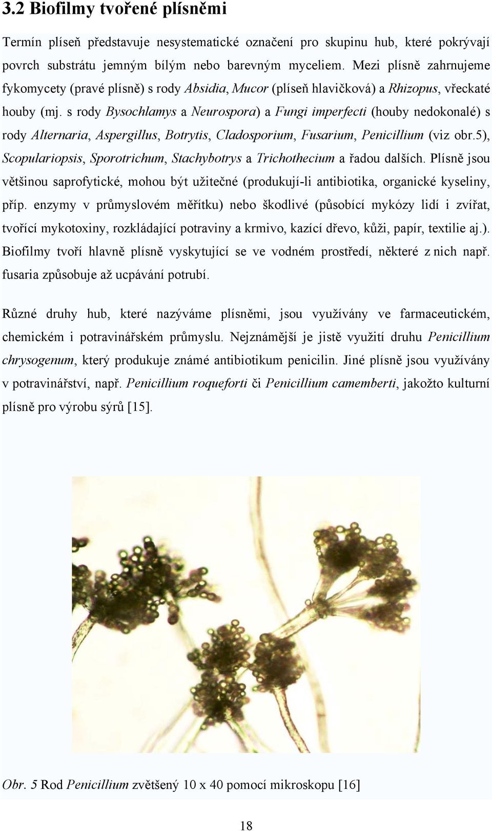 s rody Bysochlamys a Neurospora) a Fungi imperfecti (houby nedokonalé) s rody Alternaria, Aspergillus, Botrytis, Cladosporium, Fusarium, Penicillium (viz obr.