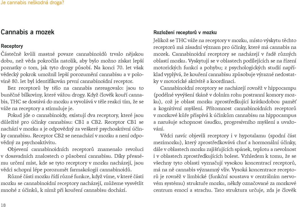 Bez receptorů by tělo na cannabis nereagovalo: jsou to buněčné bílkoviny, které vážou drogy.