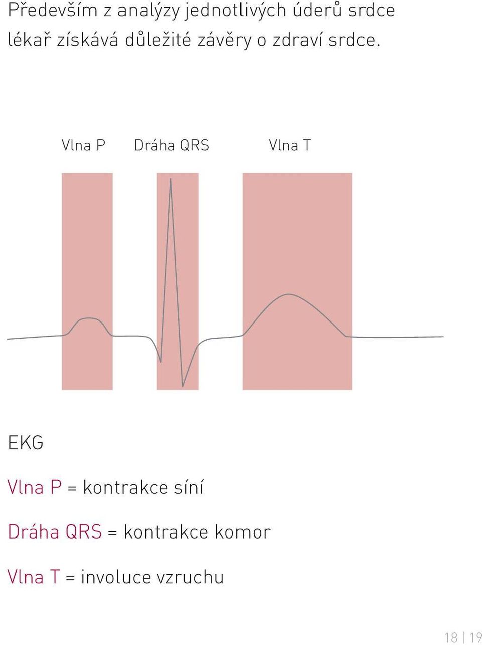 Vlna P Dráha QRS Vlna T EKG Vlna P = kontrakce