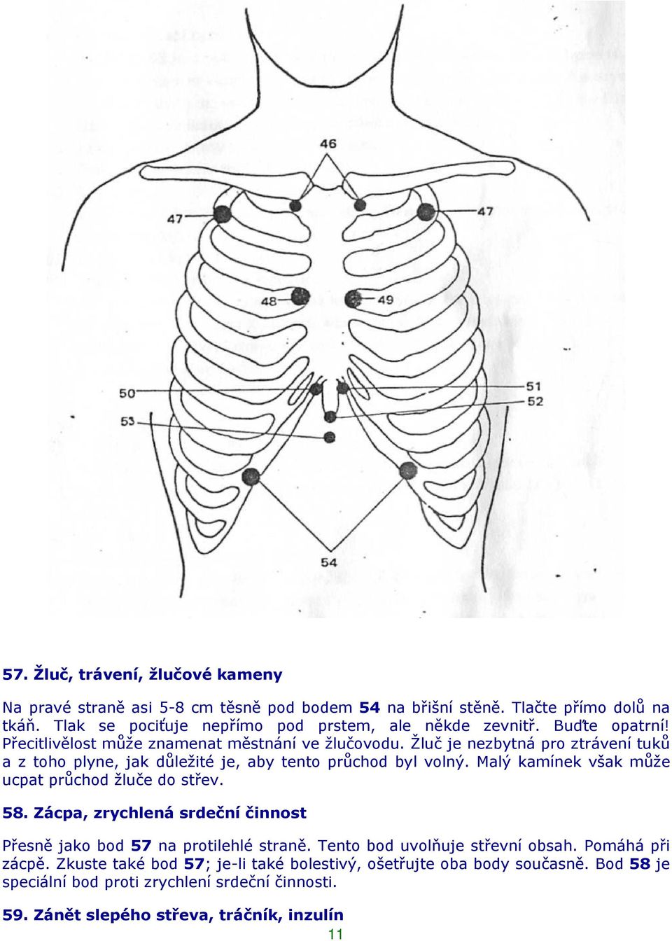 Žluč je nezbytná pro ztrávení tuků a z toho plyne, jak důležité je, aby tento průchod byl volný. Malý kamínek však může ucpat průchod žluče do střev. 58.