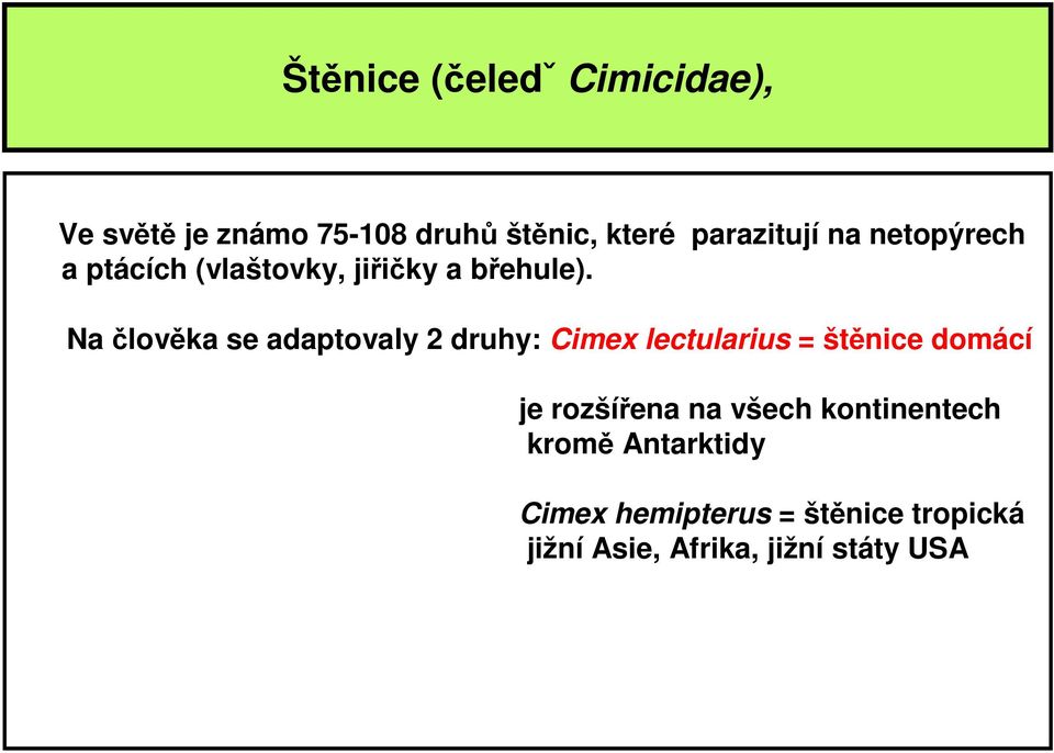 Na člověka se adaptovaly 2 druhy: Cimex lectularius = štěnice domácí je rozšířena