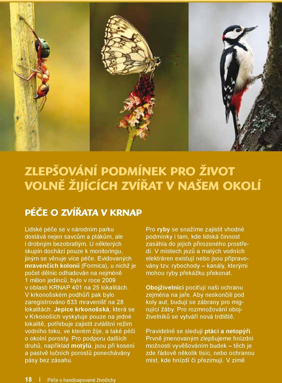 Evidovaných mravenčích kolonií (Formica), u nichž je počet dělnic odhadován na nejméně 1 milion jedinců, bylo v roce 2009 v oblasti KRNAP 401 na 25 lokalitách.