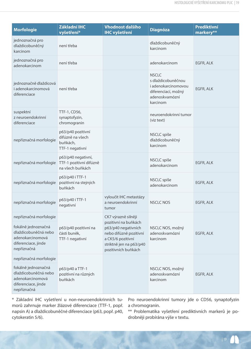 adenokarcinomovou diferenciací, možný adenoskvamózní karcinom EGFR, ALK suspektní z neuroendokrinní diferenciace TTF-1, CD56, synaptofyzin, chromogranin neuroendokrinní tumor (viz text) nepříznačná