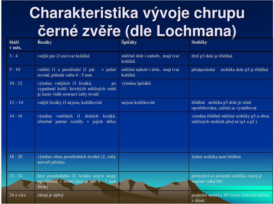 rovině, průměr zubu 4-5 mm mléčné nahoře i dole, mají tvar kolíčků předposlední stolička dole p3 je třídílná 10-12 výměna vnějších i3 řezáků, po vypadnutí kolíč- kovitých mléčných zubů je často vidět