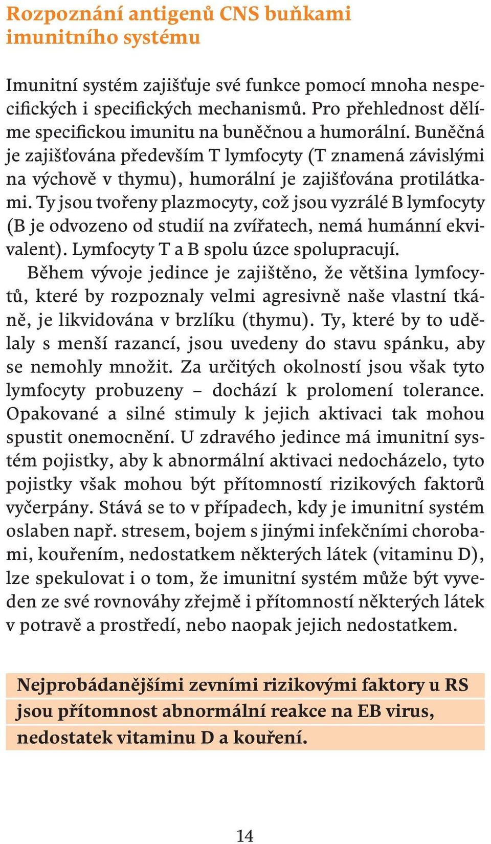 Ty jsou tvořeny plazmocyty, což jsou vyzrálé B lymfocyty (B je odvozeno od studií na zvířatech, nemá humánní ekvivalent). Lymfocyty T a B spolu úzce spolupracují.