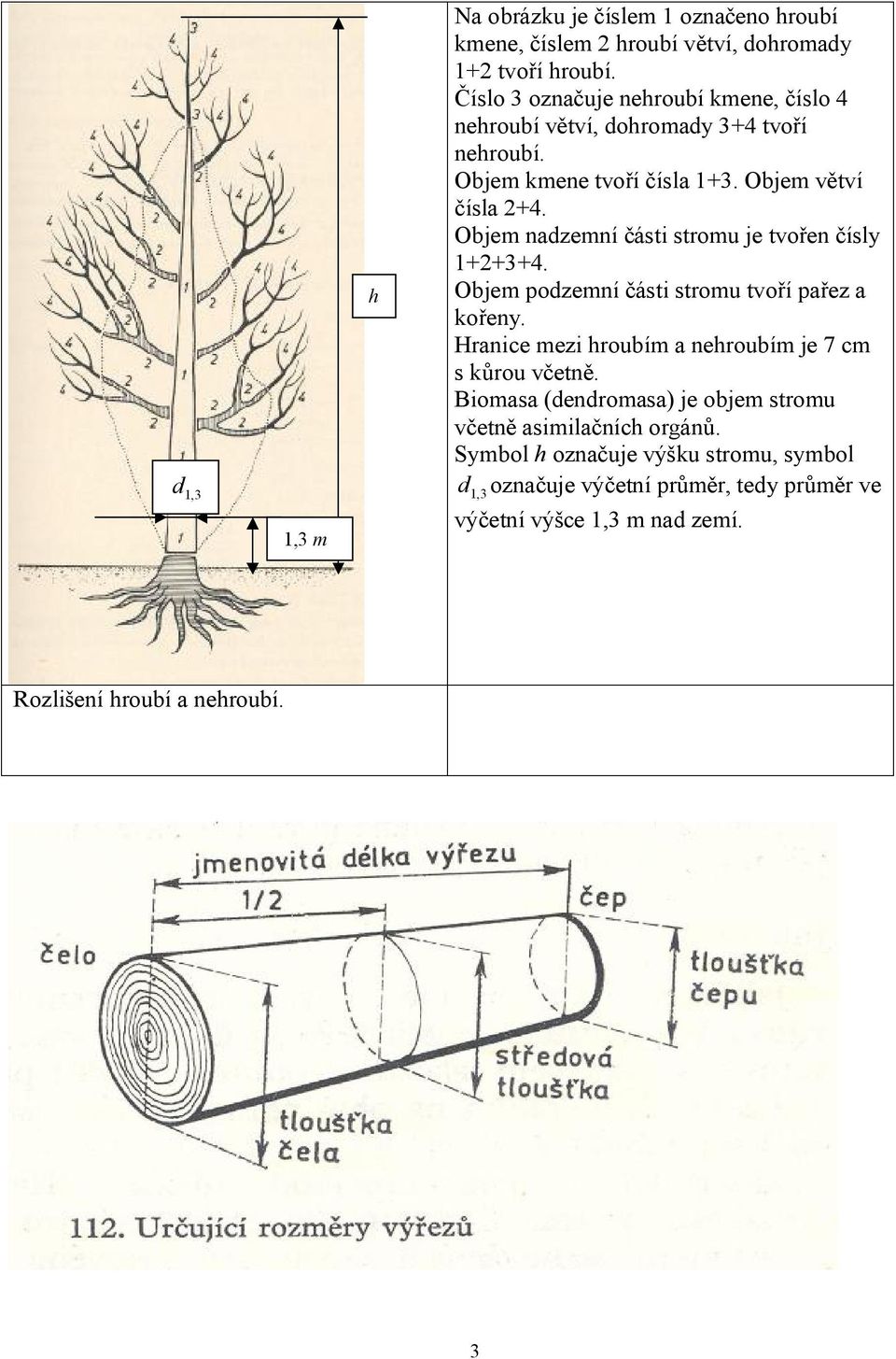 Objem nadzemní části stromu je tvořen čísly 1+2+3+4. Objem podzemní části stromu tvoří pařez a kořeny.