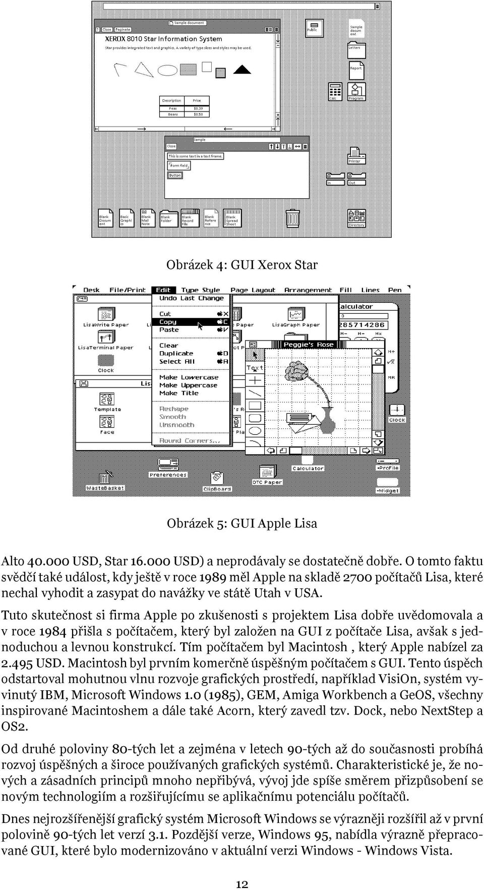 Tuto skutečnost si firma Apple po zkušenosti s projektem Lisa dobře uvědomovala a v roce 1984 přišla s počítačem, který byl založen na GUI z počítače Lisa, avšak s jednoduchou a levnou konstrukcí.