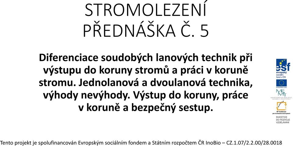 koruně stromu. Jednolanová a dvoulanová technika, výhody nevýhody.