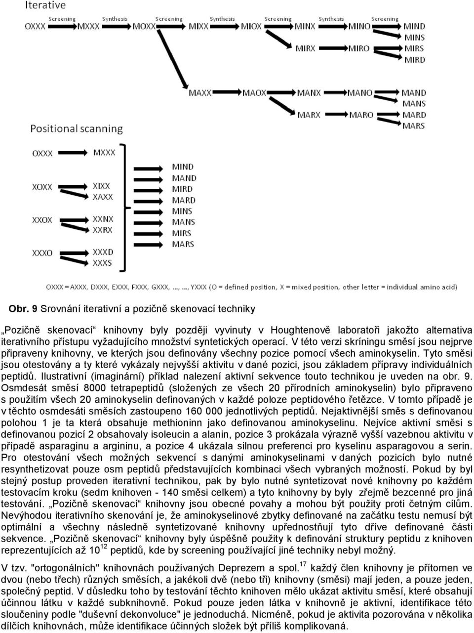 Tyto směsi jsou otestovány a ty které vykázaly nejvyšší aktivitu v dané pozici, jsou základem přípravy individuálních peptidů.