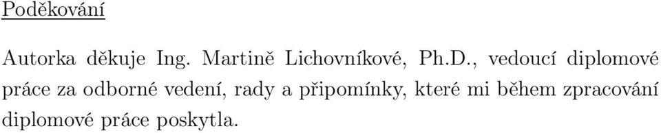 , vedoucí diplomové práce za odborné