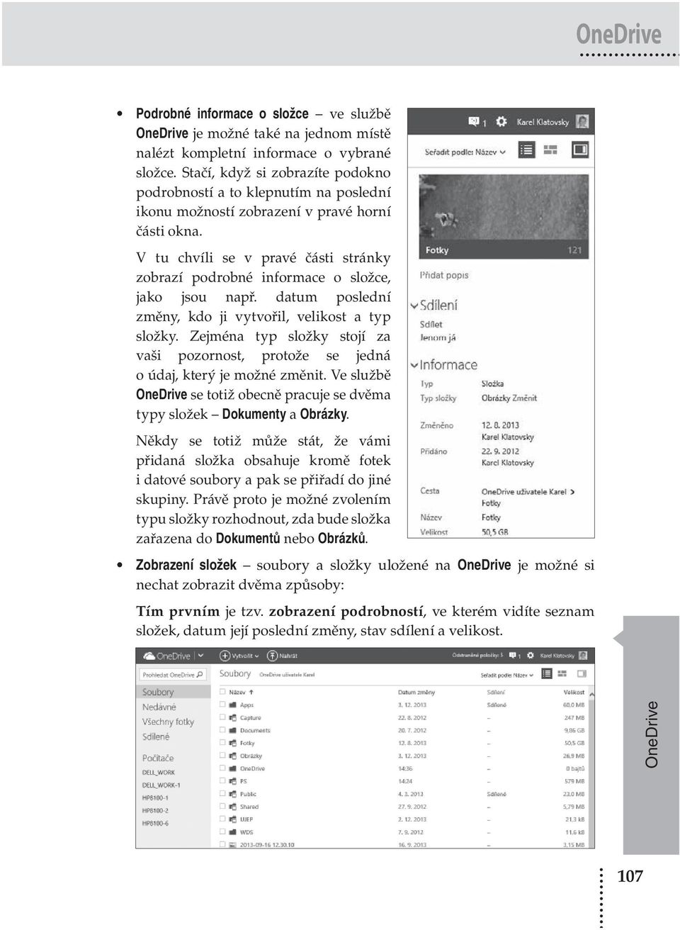 V tu chvíli se v pravé části stránky zobrazí podrobné informace o složce, jako jsou např. datum poslední změny, kdo ji vytvořil, velikost a typ složky.