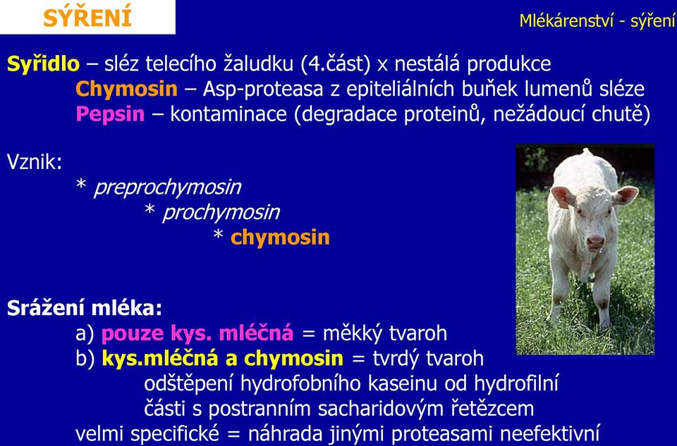 proteinů, nežádoucí chutě) Vznik: * preprochymosin * prochymosin * chymosin Srážení mléka: a) pouze kys.