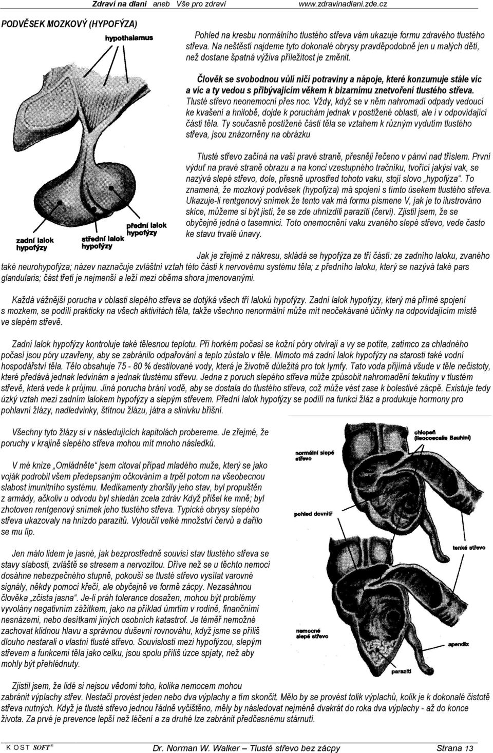 Člověk se svobodnou vůlí ničí potraviny a nápoje, které konzumuje stále víc a víc a ty vedou s přibývajícím věkem k bizarnímu znetvoření tlustého střeva. Tlusté střevo neonemocní přes noc.