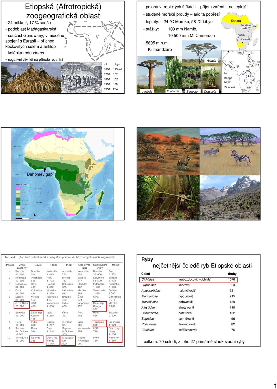 Namib, 10 500 mm Mt.Cameroon Namib Kalahari - 5895 m n.m. Kilimandžáro - kolébka rodu Homo - negativní vliv lidí na přírodu recentní Acacia rok 1600 obyv. 113 mil.