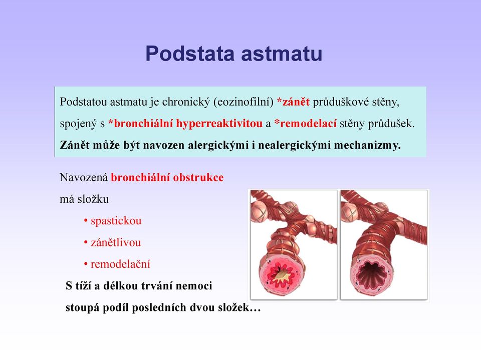 Zánět může být navozen alergickými i nealergickými mechanizmy.