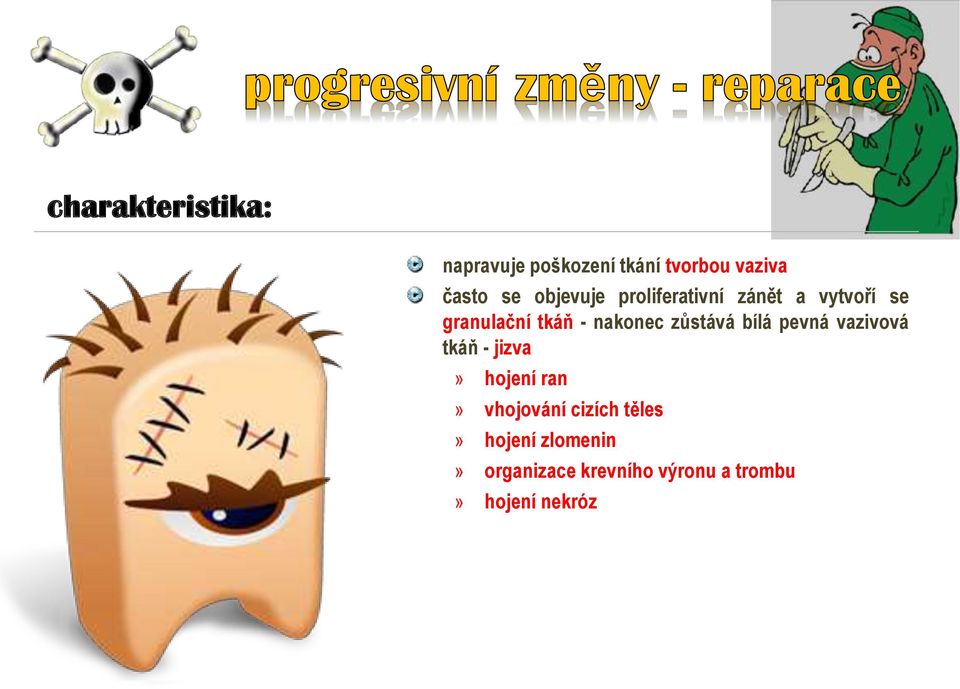 zůstává bílá pevná vazivová tkáň - jizva» hojení ran» vhojování cizích