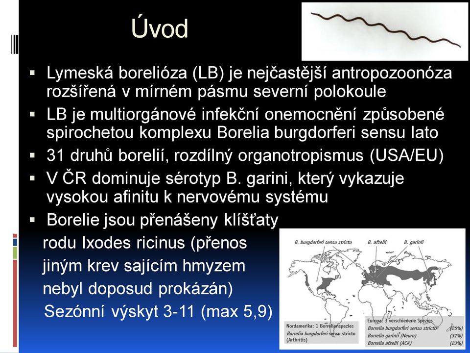 rozdílný organotropismus (USA/EU) V ČR dominuje sérotyp B.