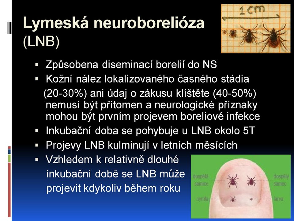 být prvním projevem boreliové infekce Inkubační doba se pohybuje u LNB okolo 5T Projevy LNB kulminují