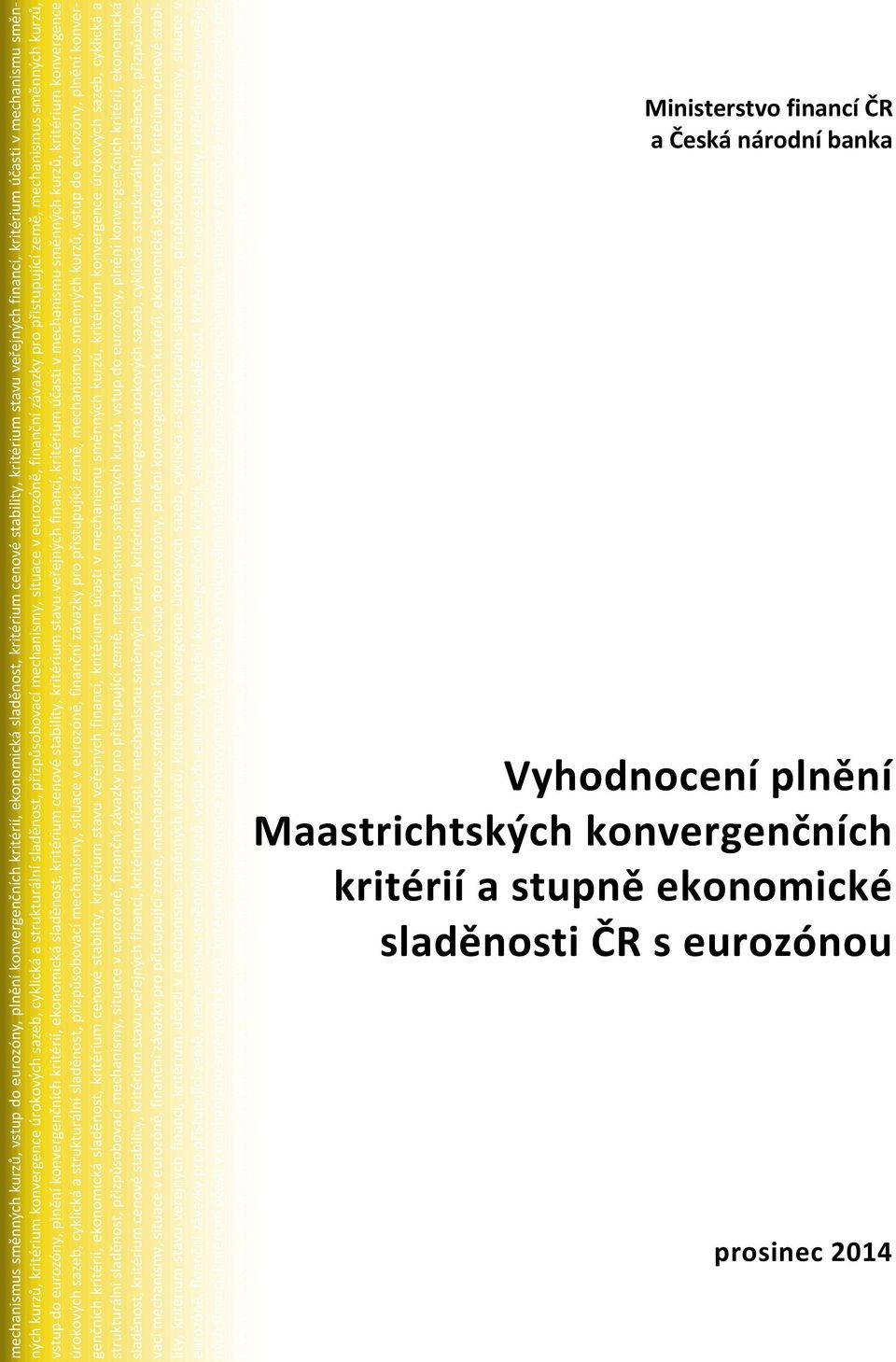 kritérium konvergence úrokových sazeb, cyklická a strukturální sladěnost, přizpůsobovací mechanismy, situace v eurozóně, finanční závazky pro přistupující země,   kritérium konvergence úrokových