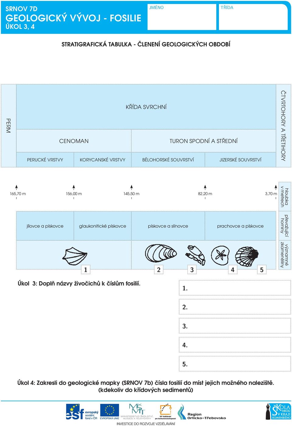 pískovce glaukonitické pískovce pískovce a slínovce prachovce a pískovce převažující horniny 1 2 3 4 5 významné zkameněliny Úkol 3: Doplň názvy živočichů k