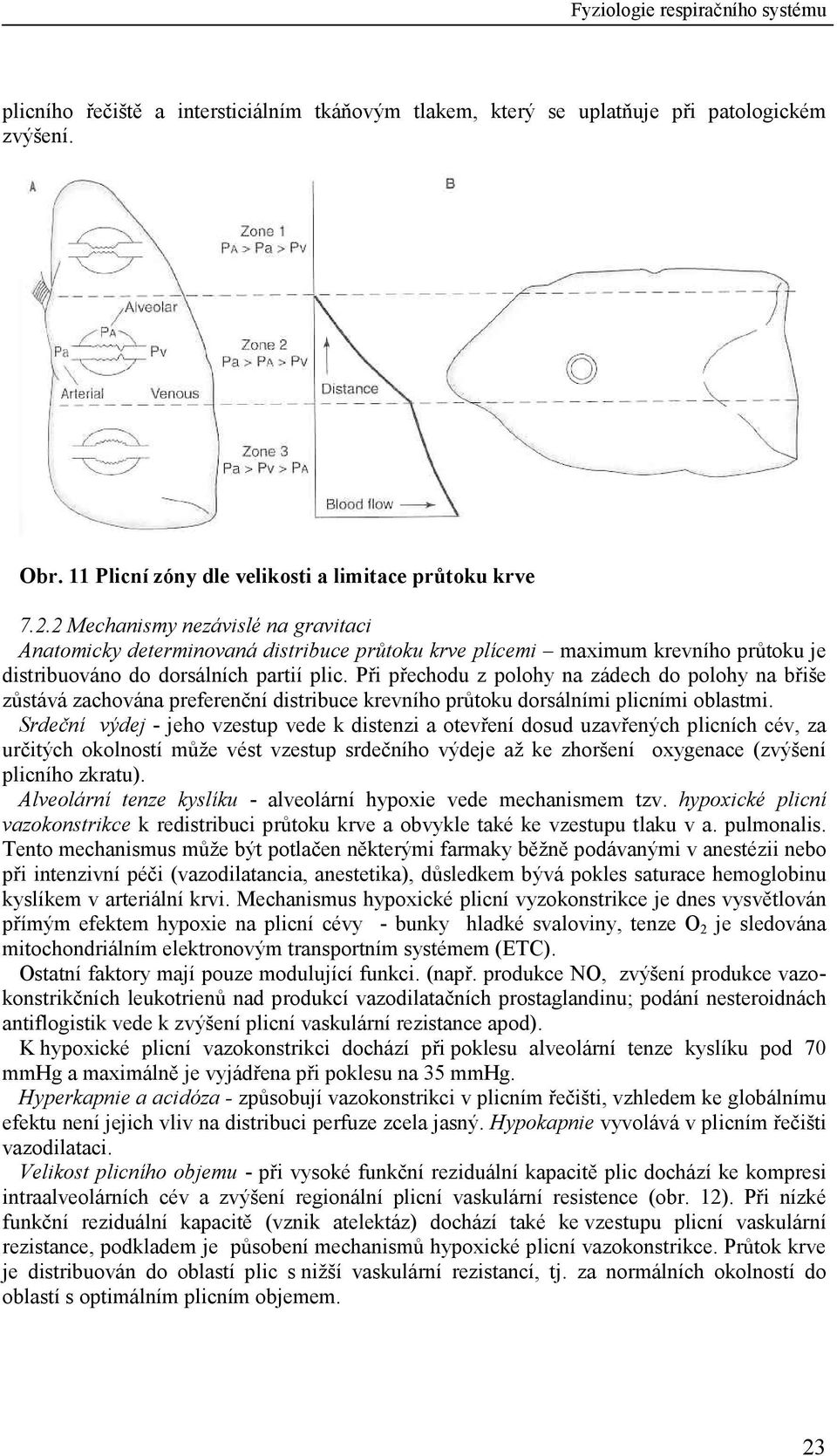 Při přechodu z polohy na zádech do polohy na břiše zůstává zachována preferenční distribuce krevního průtoku dorsálními plicními oblastmi.