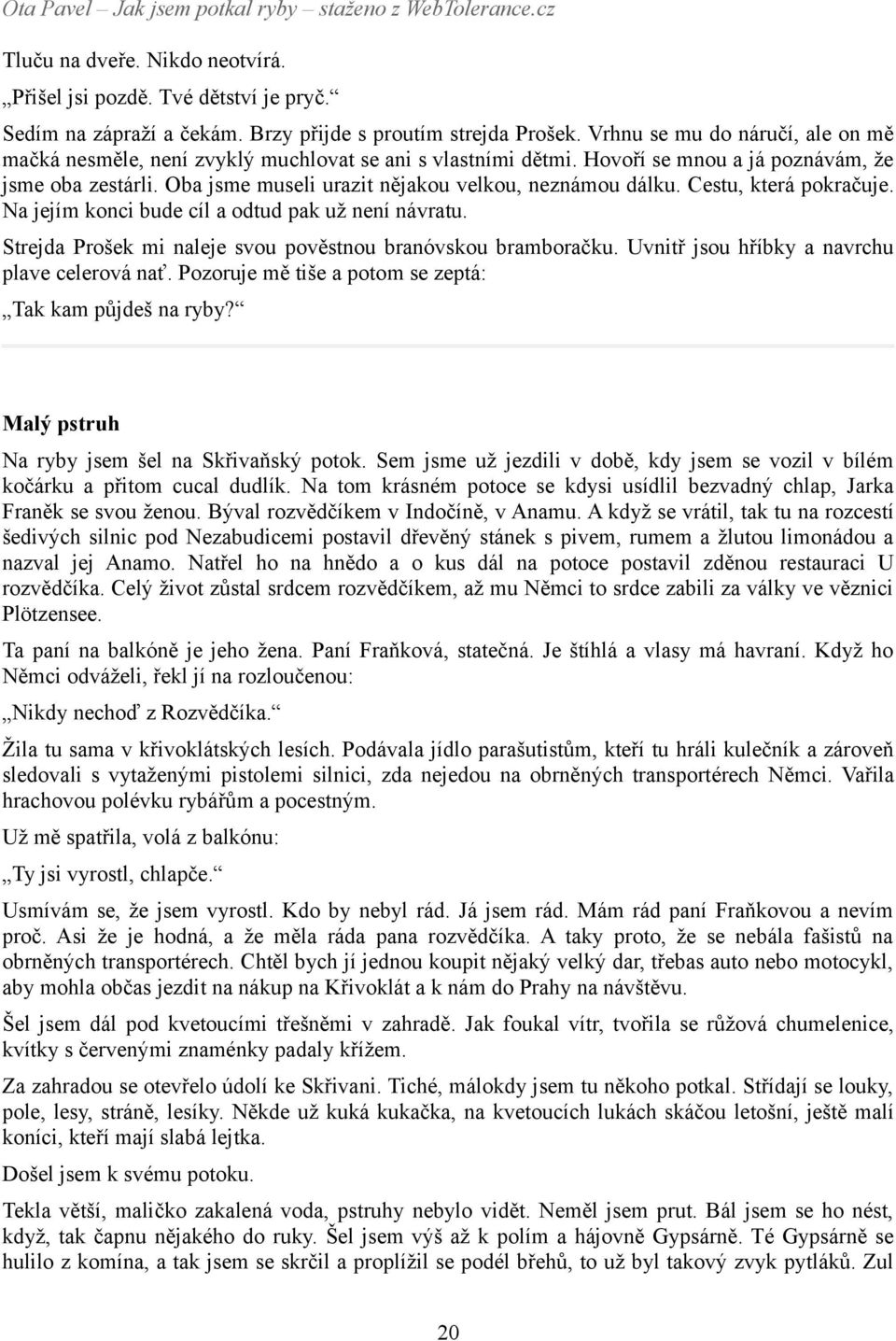 Oba jsme museli urazit nějakou velkou, neznámou dálku. Cestu, která pokračuje. Na jejím konci bude cíl a odtud pak už není návratu. Strejda Prošek mi naleje svou pověstnou branóvskou bramboračku.