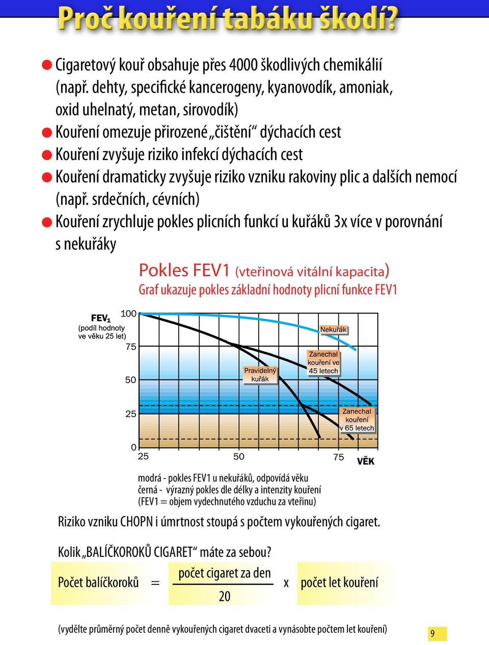 zvyšuje riziko vzniku rakoviny plic a dalších nemocí (např.