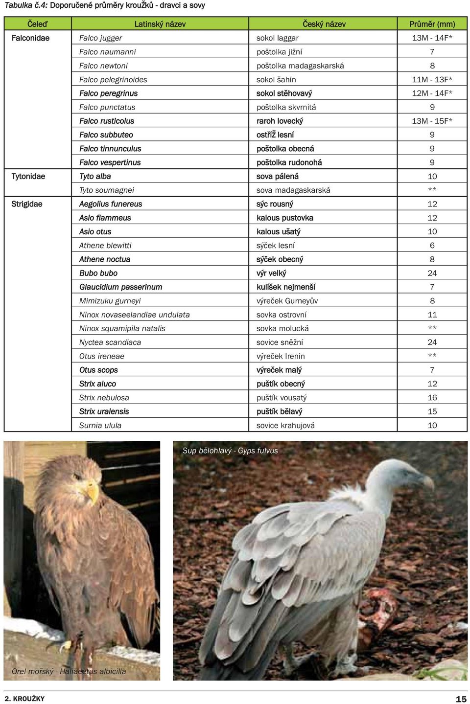 madagaskarská 8 Falco pelegrinoides sokol šahin 11M - 13F* Falco peregrinus sokol stěhovavý 12M - 14F* Falco punctatus poštolka skvrnitá 9 Falco rusticolus raroh lovecký 13M - 15F* Falco subbuteo