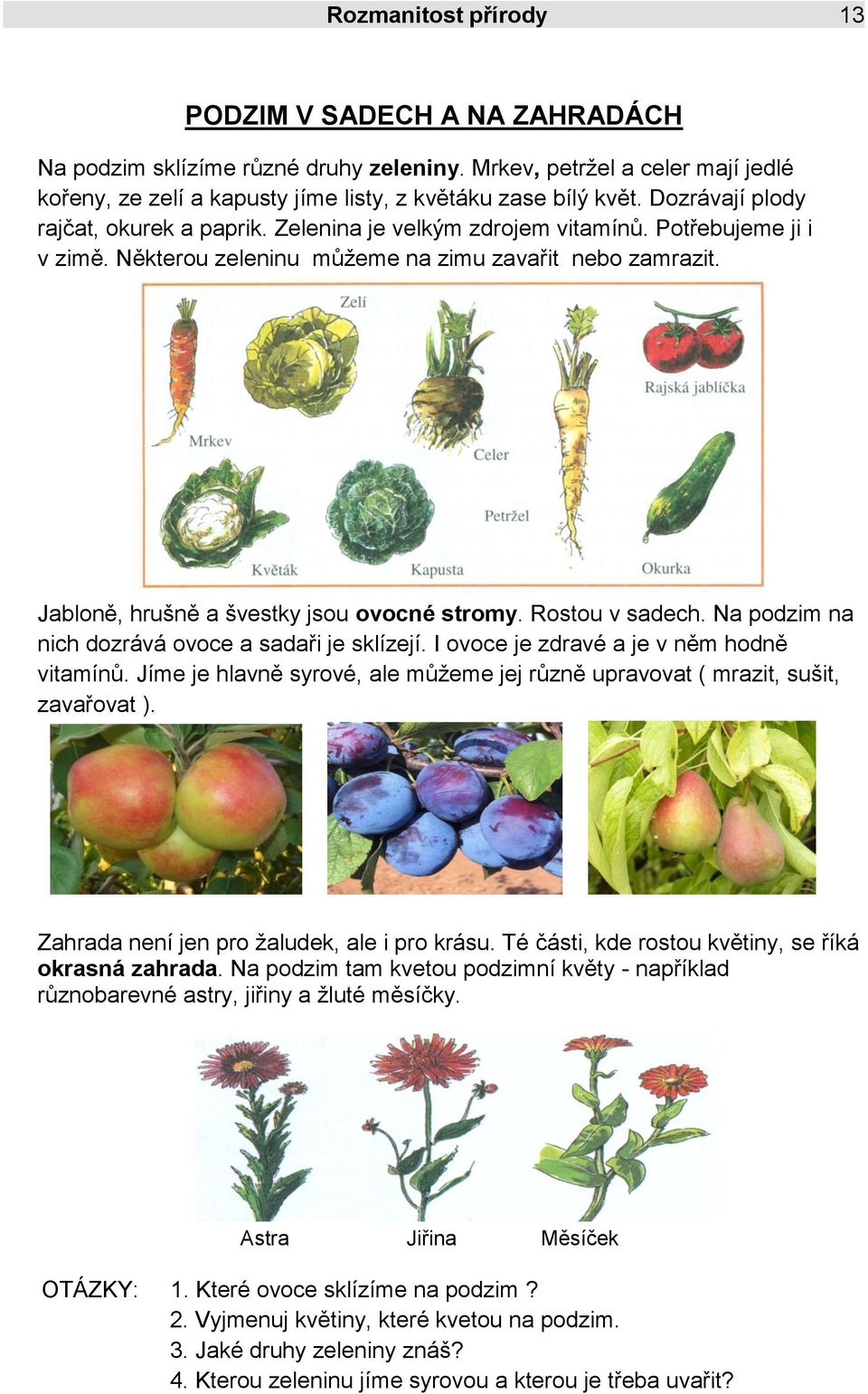 Jabloně, hrušně a švestky jsou ovocné stromy. Rostou v sadech. Na podzim na nich dozrává ovoce a sadaři je sklízejí. I ovoce je zdravé a je v něm hodně vitamínů.