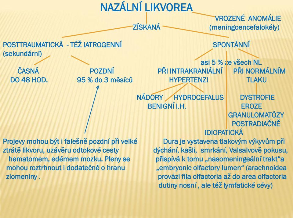 D. 95 % do 3 měsíců HY