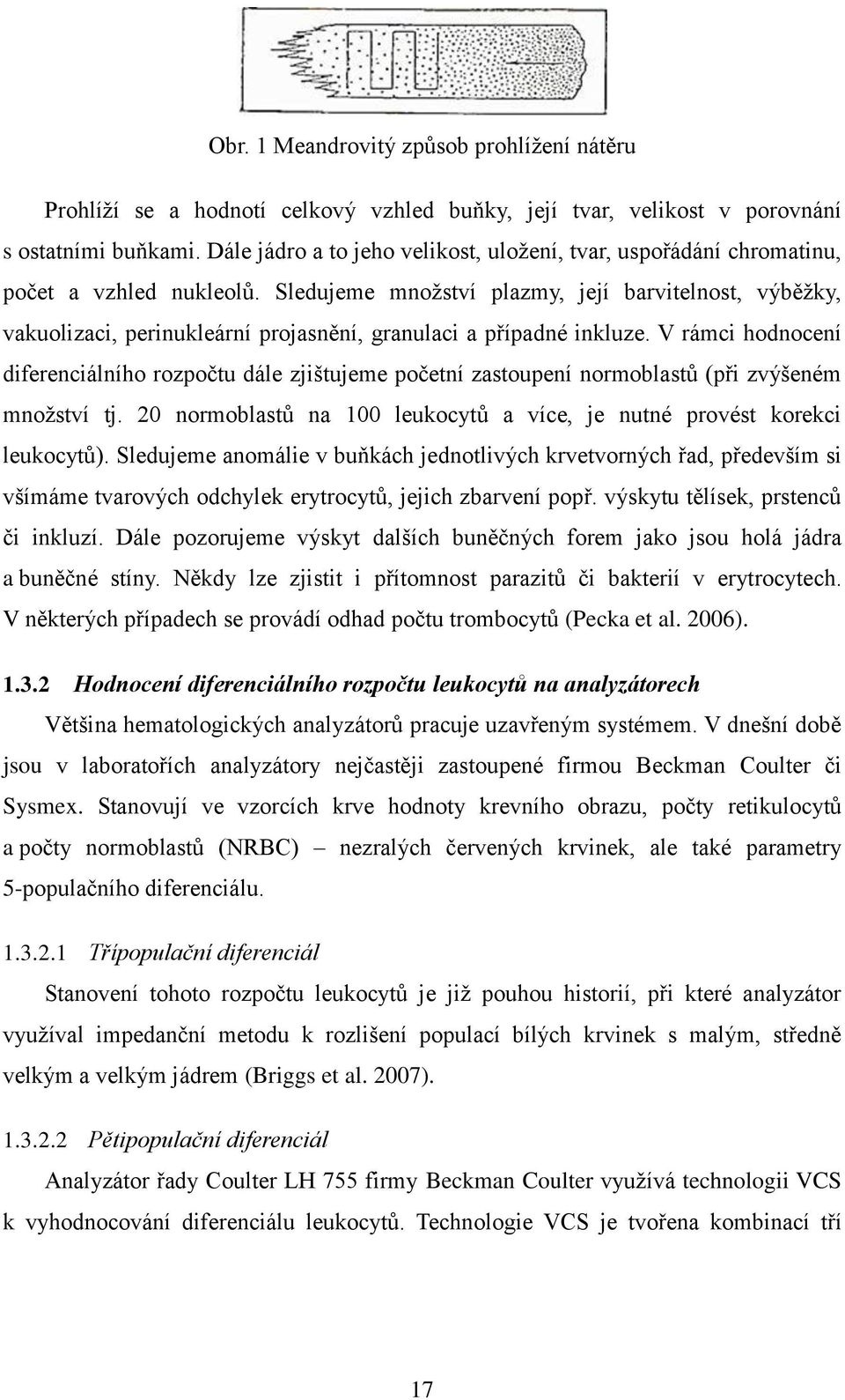 Sledujeme množství plazmy, její barvitelnost, výběžky, vakuolizaci, perinukleární projasnění, granulaci a případné inkluze.