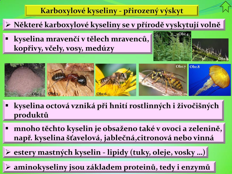 6 kyselina octová vzniká při hnití rostlinných i živočišných produktů mnoho těchto kyselin je obsaženo také v ovoci a