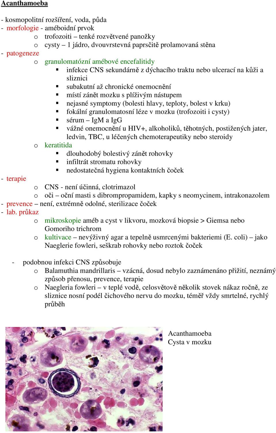 (bolesti hlavy, teploty, bolest v krku) fokální granulomatosní léze v mozku (trofozoiti i cysty) sérum IgM a IgG vážné onemocnění u HIV+, alkoholiků, těhotných, postižených jater, ledvin, TBC, u