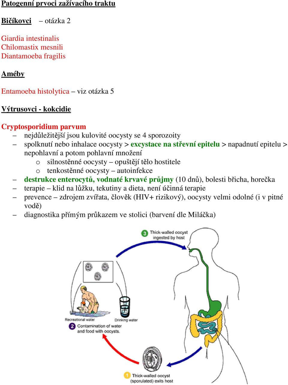 pohlavní množení o silnostěnné oocysty opuštějí tělo hostitele o tenkostěnné oocysty autoinfekce destrukce enterocytů, vodnaté krvavé průjmy (10 dnů), bolesti břicha, horečka terapie
