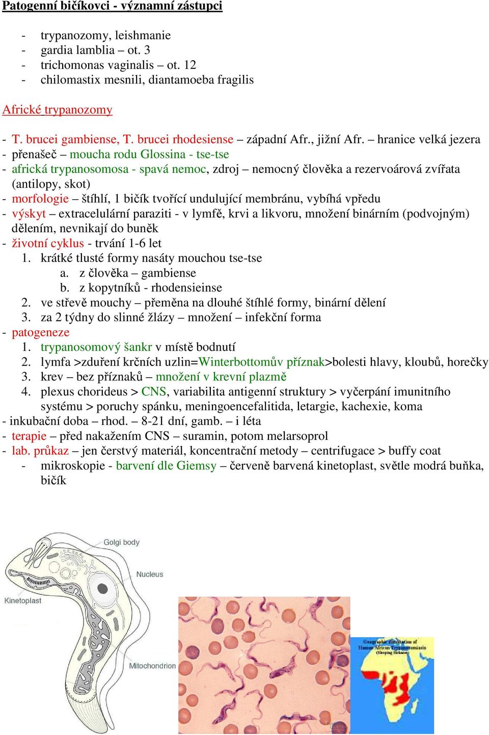 hranice velká jezera - přenašeč moucha rodu Glossina - tse-tse - africká trypanosomosa - spavá nemoc, zdroj nemocný člověka a rezervoárová zvířata (antilopy, skot) - morfologie štíhlí, 1 bičík